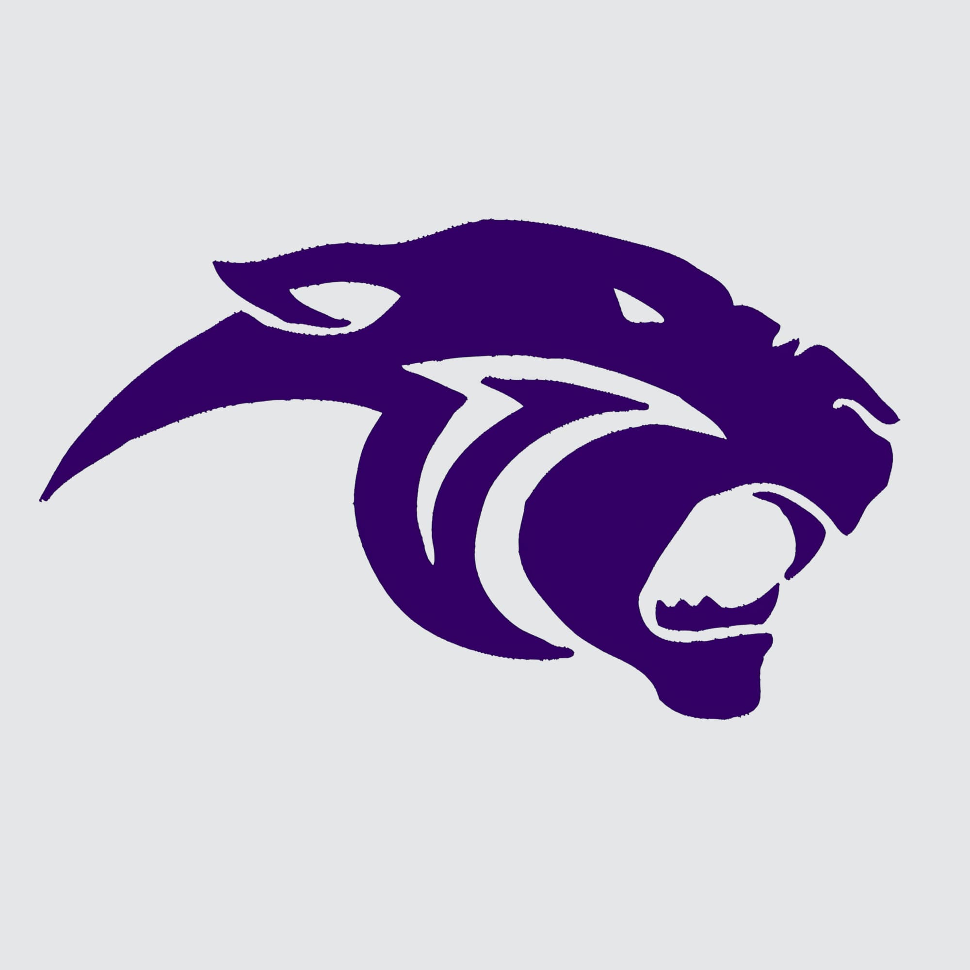 A stylized logo of a panther's head in purple with a fierce expression on a light gray background.